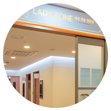 LADY ZONE